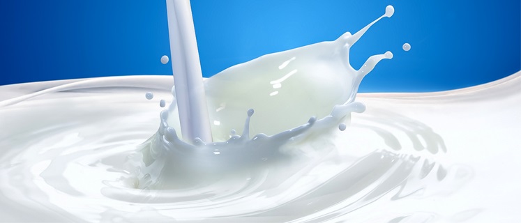 У Чехії зростає виробництво молока