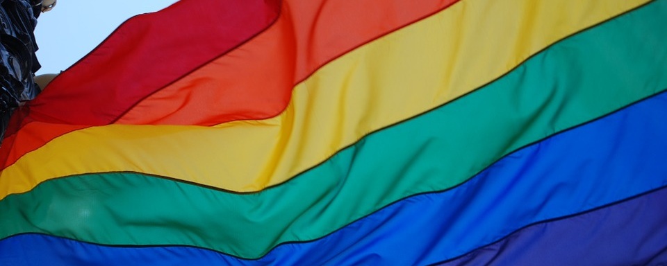 У Чехії очікують дозволи на одностатеві шлюби