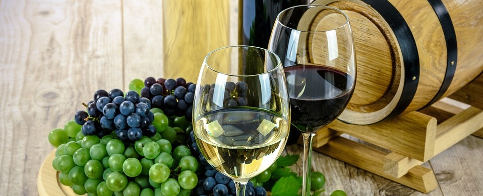 У Чехії відбирають Святомартинські вина