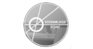 assemblage point