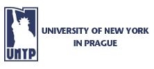 Нью-Йоркський університет у Чехії