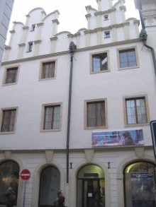 Чеський музей образотворчого мистецтва