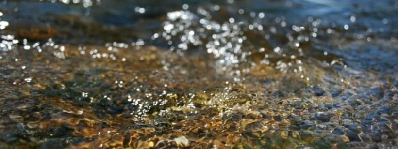 У водоймах Чехії можна купатися без ризику для здоров`я